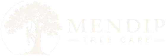 Mendip Tree Care, professional tree surgeons