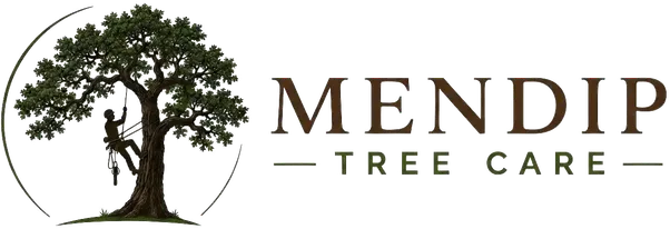 Mendip Tree Care, professional tree surgeons
